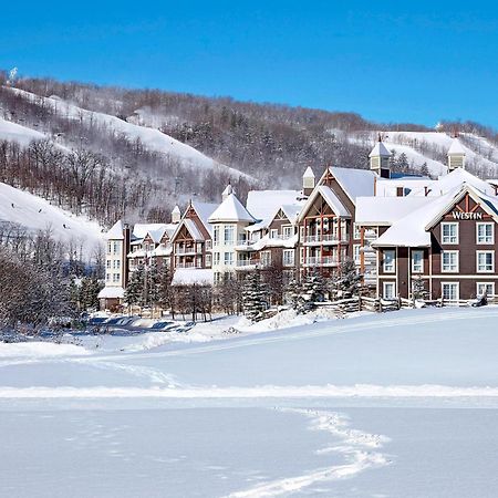 Hotel The Westin Trillium House, Blue Mountain Blue Mountains Exteriér fotografie